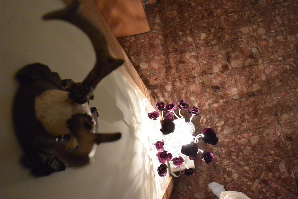 Adlerhof Bed & Breakfast